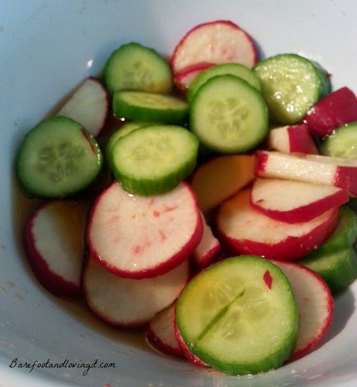 Barefoot and Loving It Quick Pickled Radish and Cucumber Snack