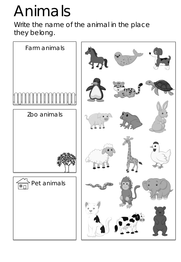 Can You Train A Dog To Identify Birds Can You Train A Dog To Identify Birds