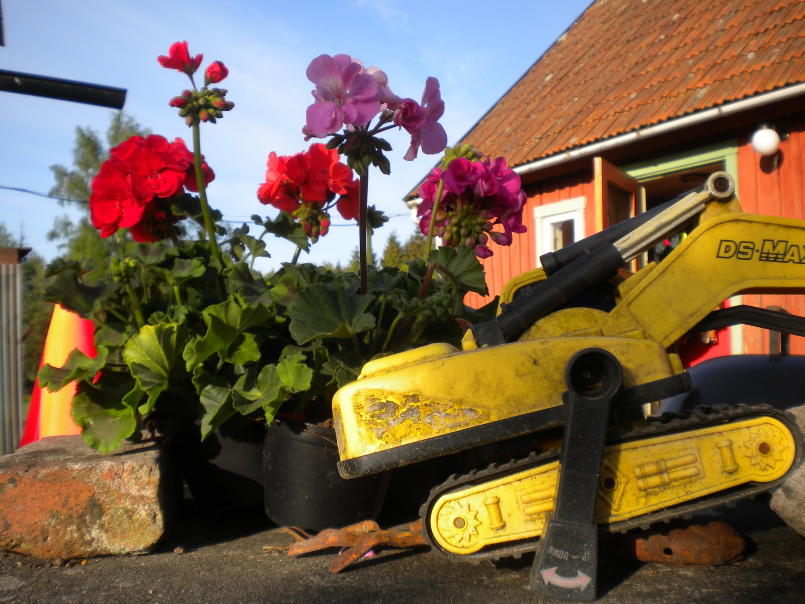 HÃstar och drama: maj 2011