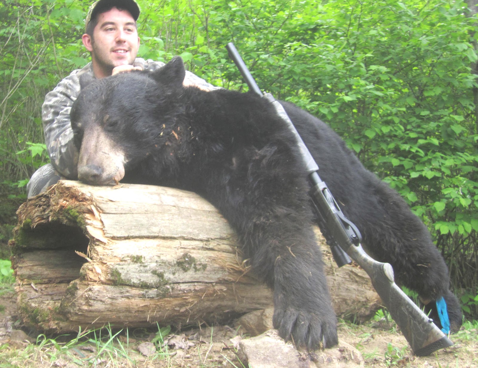 Bob Shell s Blog Bear Hunting In Canada