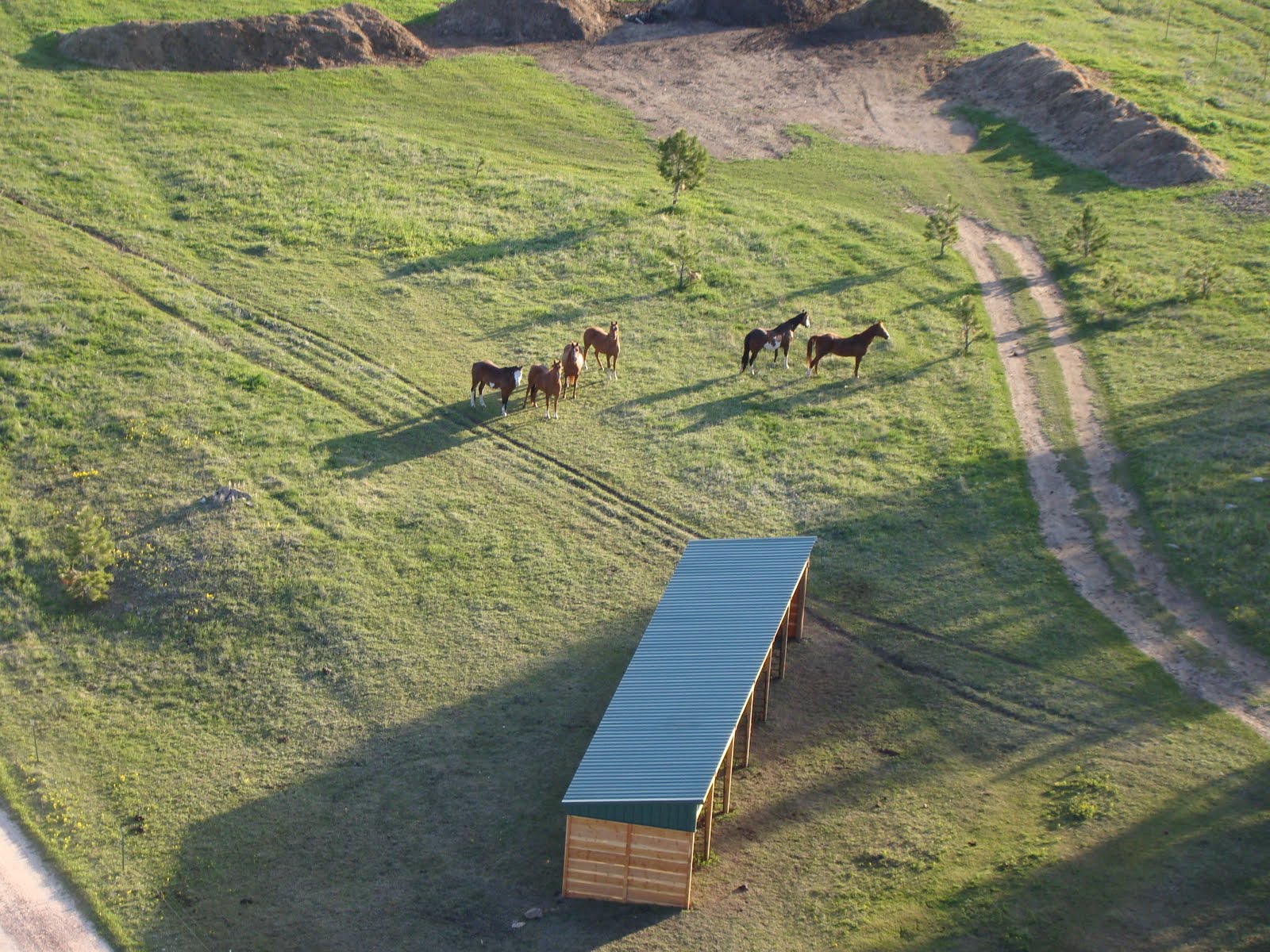 T & T do Yellowstone Hot Air Balloon and Mount Rushmore