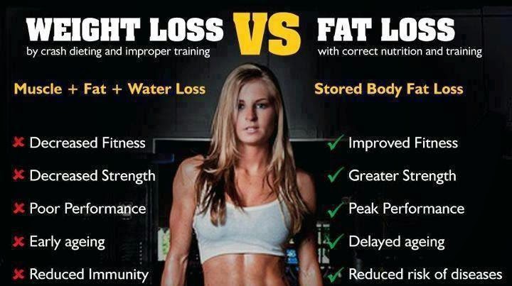 Garcinia cambogia label photo 4