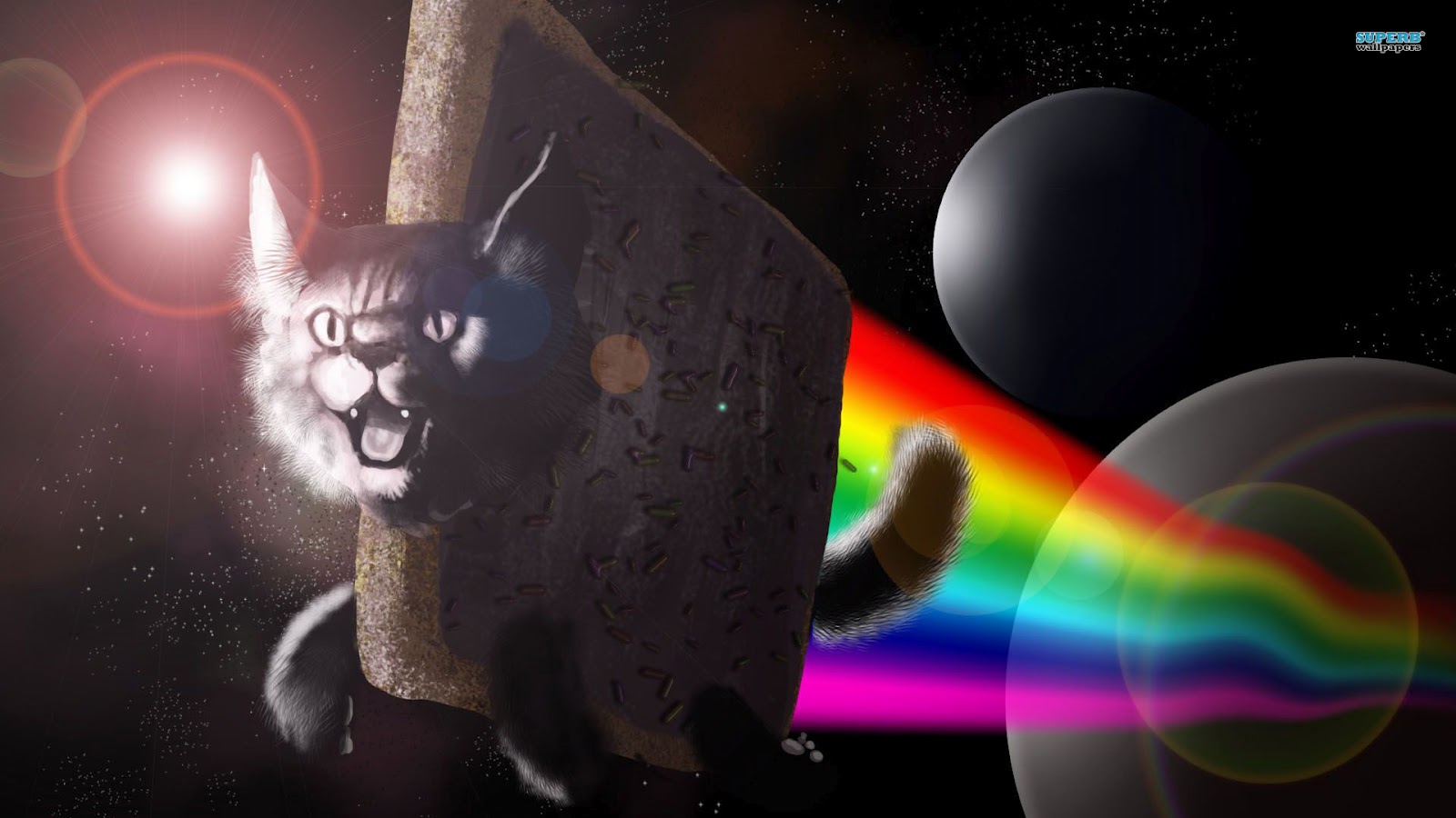 http://4.bp.blogspot.com/-tBvwvgqmqs0/T7P1kKI3gaI/AAAAAAAAAPw/oFdeNml12yo/s1600/nyan-cat-8880-1920x1080.jpg