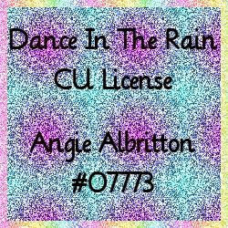 My CU CT License #