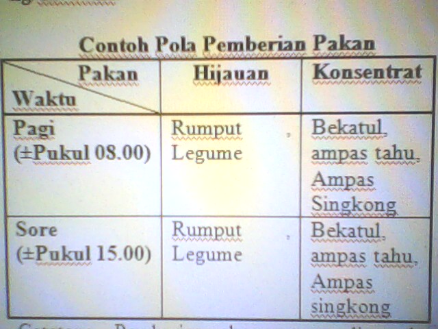 Catatan Pemberian Konsentrat Disarankan Diberikan Saat Kambing Atau Catatan Pemberian Konsentrat Disarankan Diberikan Saat Kambing Atau