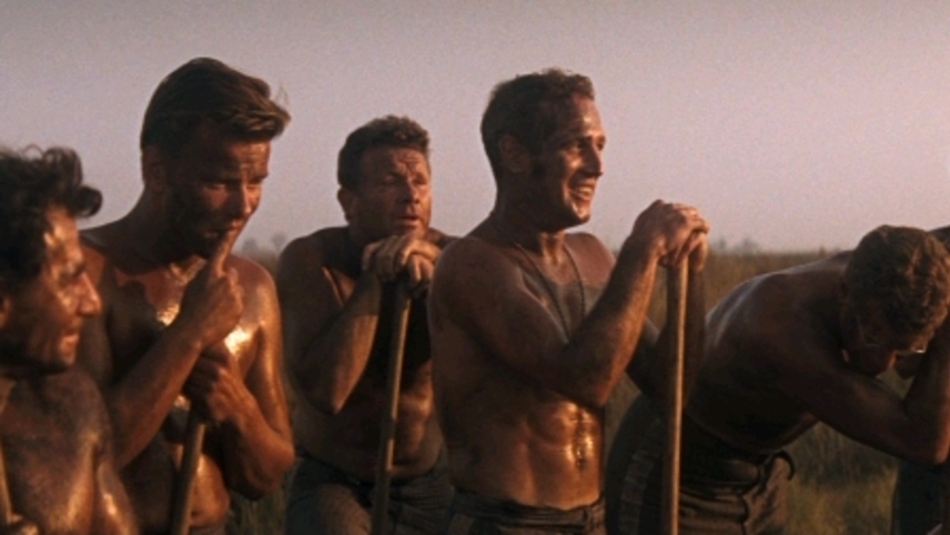 a touch of sarcasm in the movie cool hand luke Paul newman classic about rebellion and conformity read common sense media's cool hand luke review, age rating, and parents guide. a touch of sarcasm in the movie cool hand luke Paul newman classic about rebellion and conformity read common sense media's cool hand luke review, age rating, and parents guide.