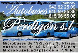 Autobuses Perdigón