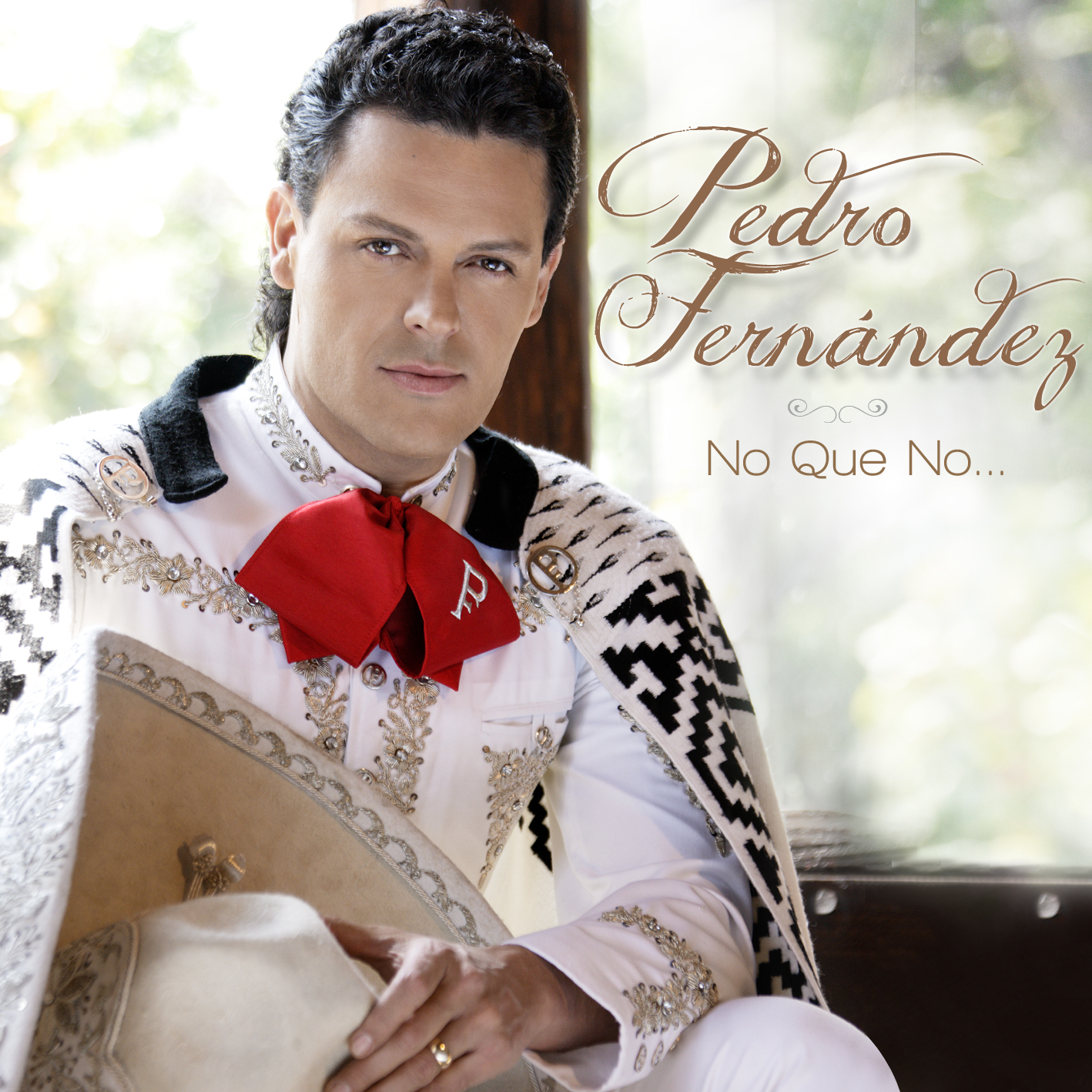 http://4.bp.blogspot.com/-tDBFqPUkXCI/UB4YYi1nfMI/AAAAAAAAAyk/XCpdIlfuULM/s1600/PEDRO-FERNANDEZ-portada.jpg
