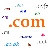 Fungsi dan pengertian domain beserta contohnya