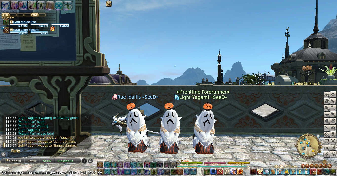 A Tank and a Healer. Fat chocobo head