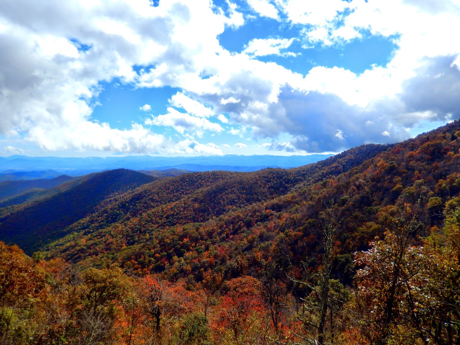 Hiking with a Fat Bald White Guy Pisgah Mountain Range Mt Pisgah