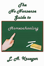The No Nonsense Guide to Homeschooling