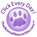 Animal Rescue Site