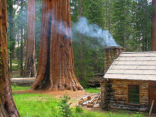 Dream House of the Day: Redwood Forest Cabin
