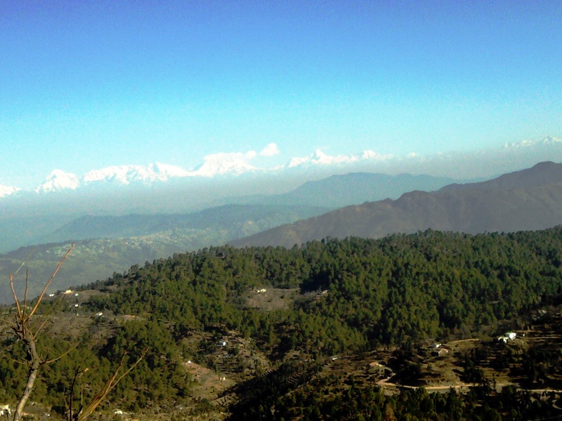RESIDENTIAL LAND / PLOT FOR SALE IN MUKTESHWAR, NAINITAL