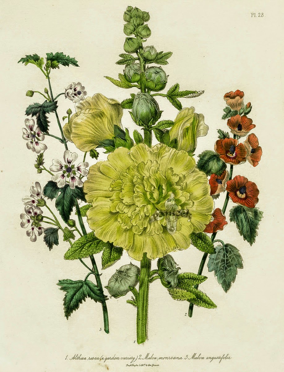 Infotainment @ www.keralites.net Fun & Info @ Keralites.net