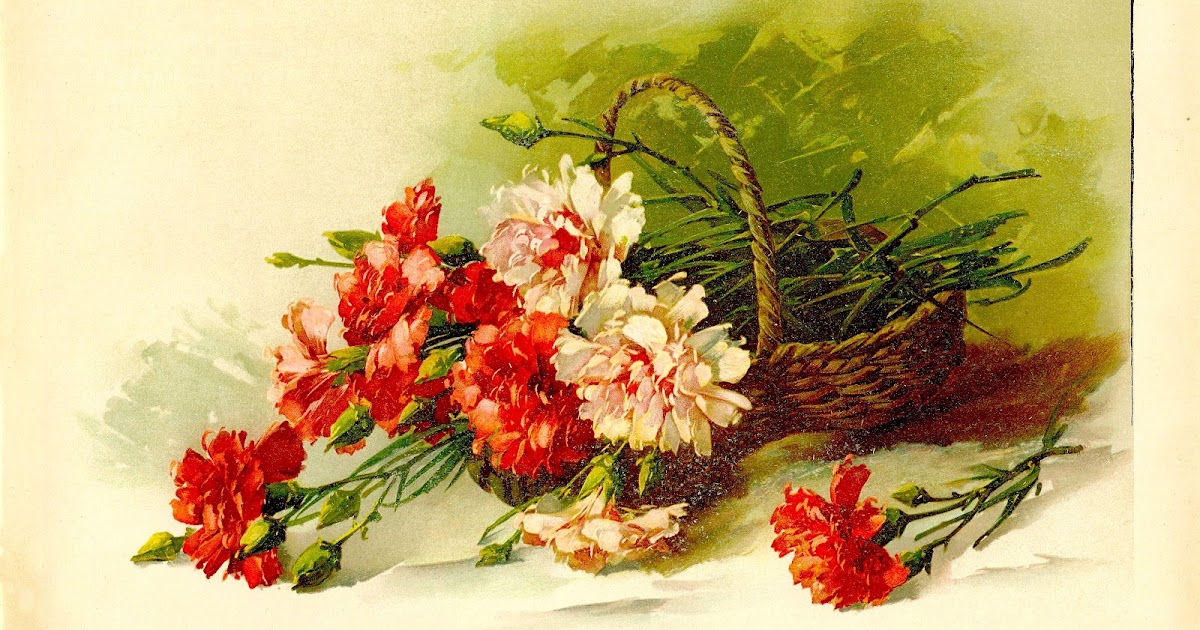 Antique Images Flower Clip Art Vintage Pink and Red Carnations