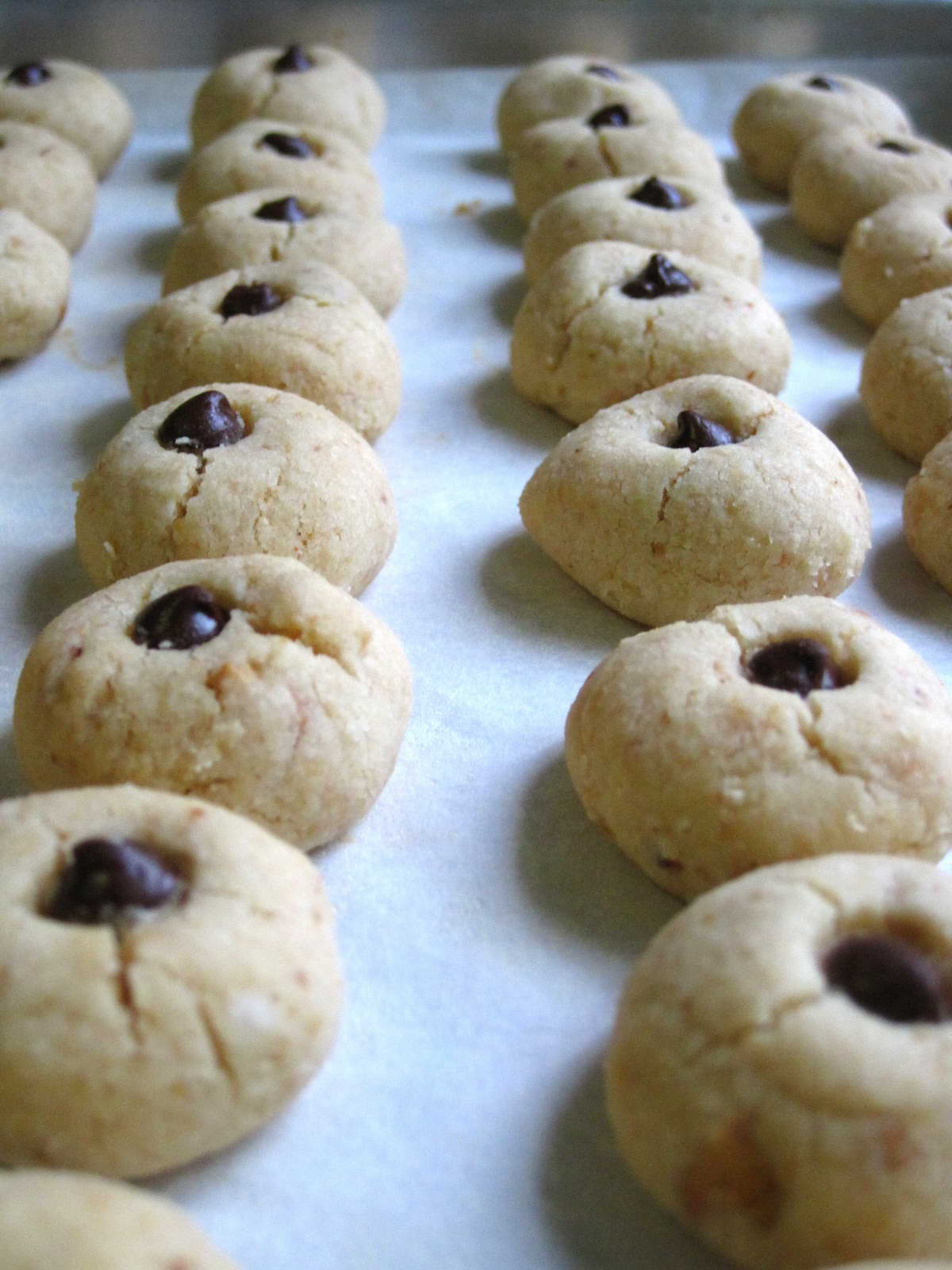 Blessed Homemaker Easy Peasy Peanut Cookies