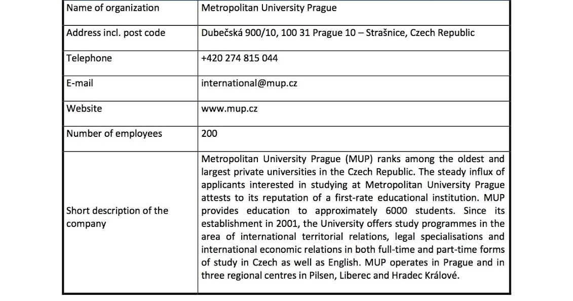 excel metropolitan theme