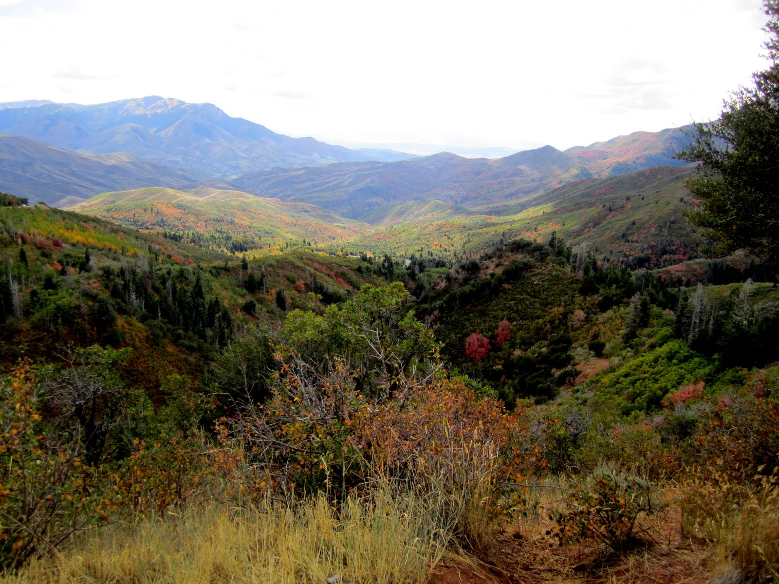 The Nielson Family Payson Canyon Fall Colors