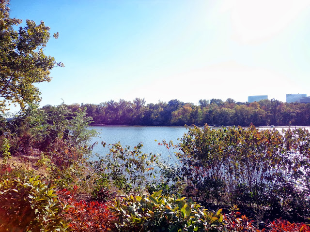 Georgetown Waterfront Park view on Potomac River