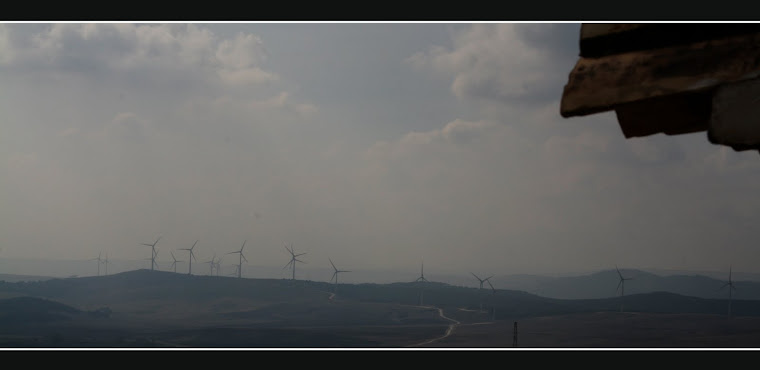 MOLINOS DE VIENTO VISTA DESDE ALCALÁ