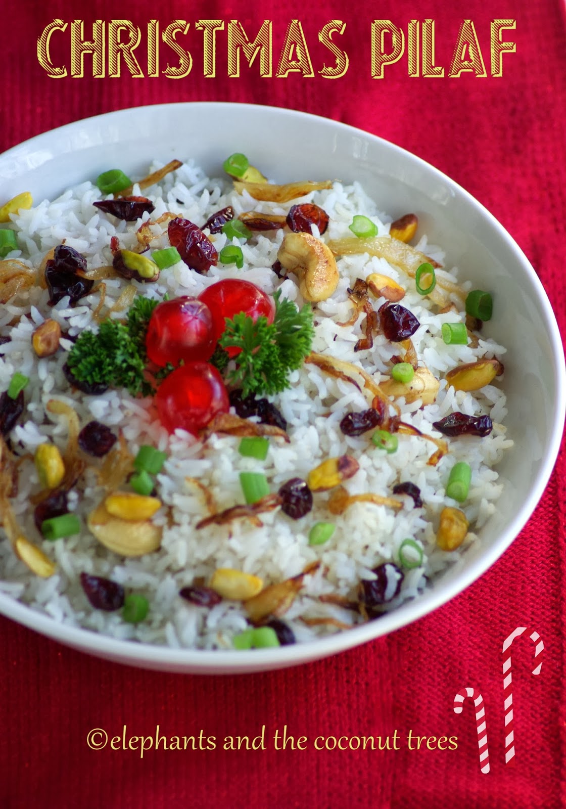 elephants and the coconut trees Cranberry Pistachio Pilaf / Christmas