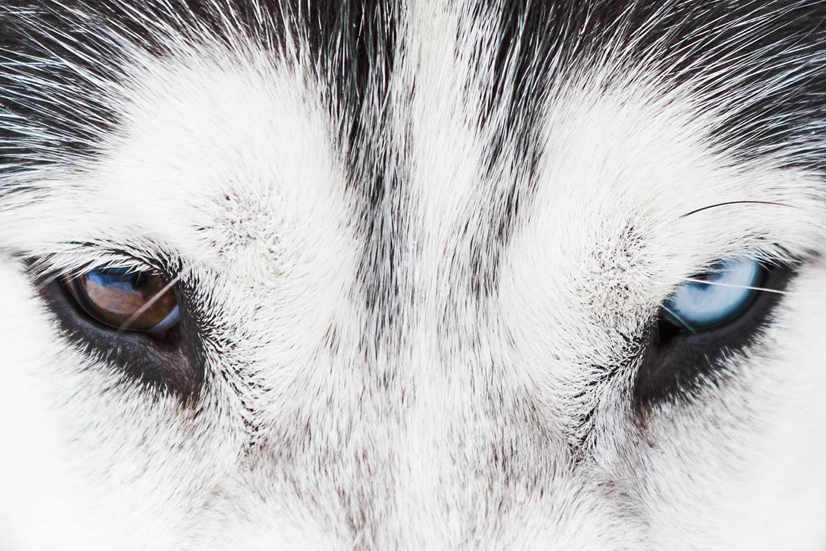 rencontre escalade glace haute maurienne