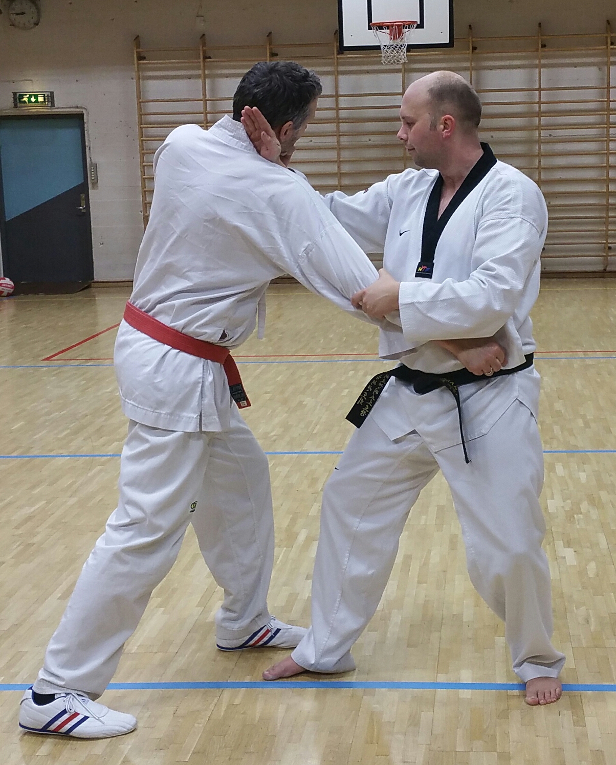 Traditional Taekwondo Ramblings The importance of "Chambering"