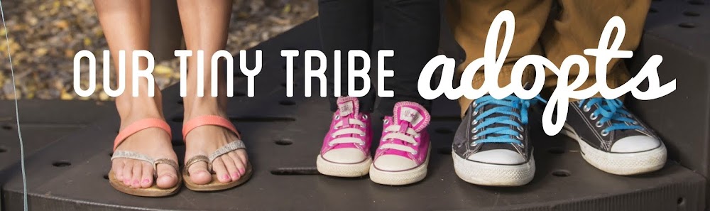 Our Tiny Tribe Adopts