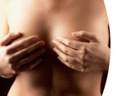 breasts