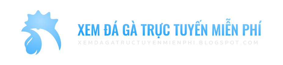 Xem đá gà trực tuyến miễn phí