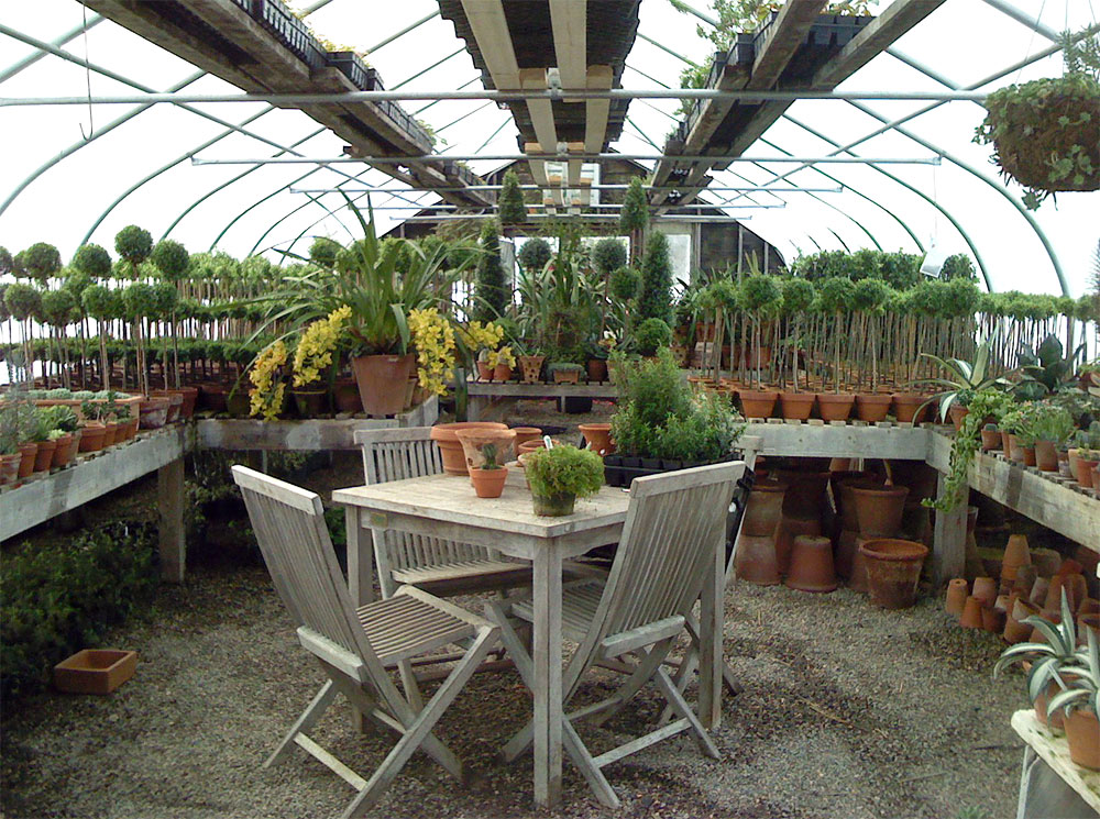 Party Resources Maine Holiday