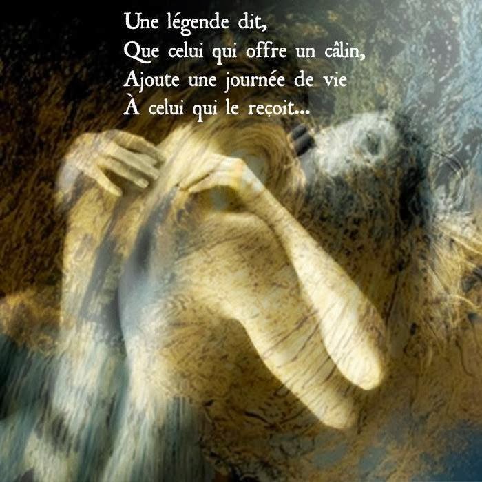 Citations option bonheur Un câlin prolonge la vie