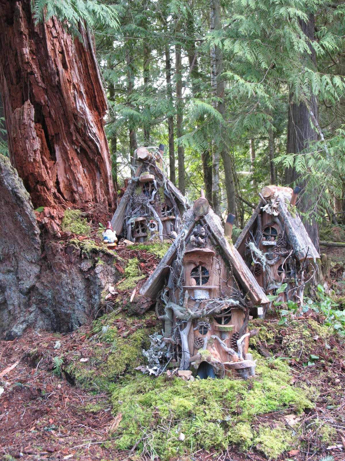 Gnome Stories at Whimsical Woods Gnome Homes on a Big Old Cedar Stump