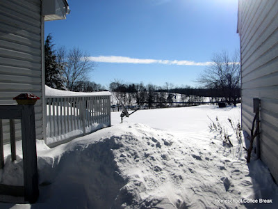 A Snow Day PhotoJournal on Homeschool Coffee Break @ kympossibleblog.blogspot.com