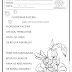 FLORZINHA FACEIRA - INTERDISCIPLINAR - 1º ANO