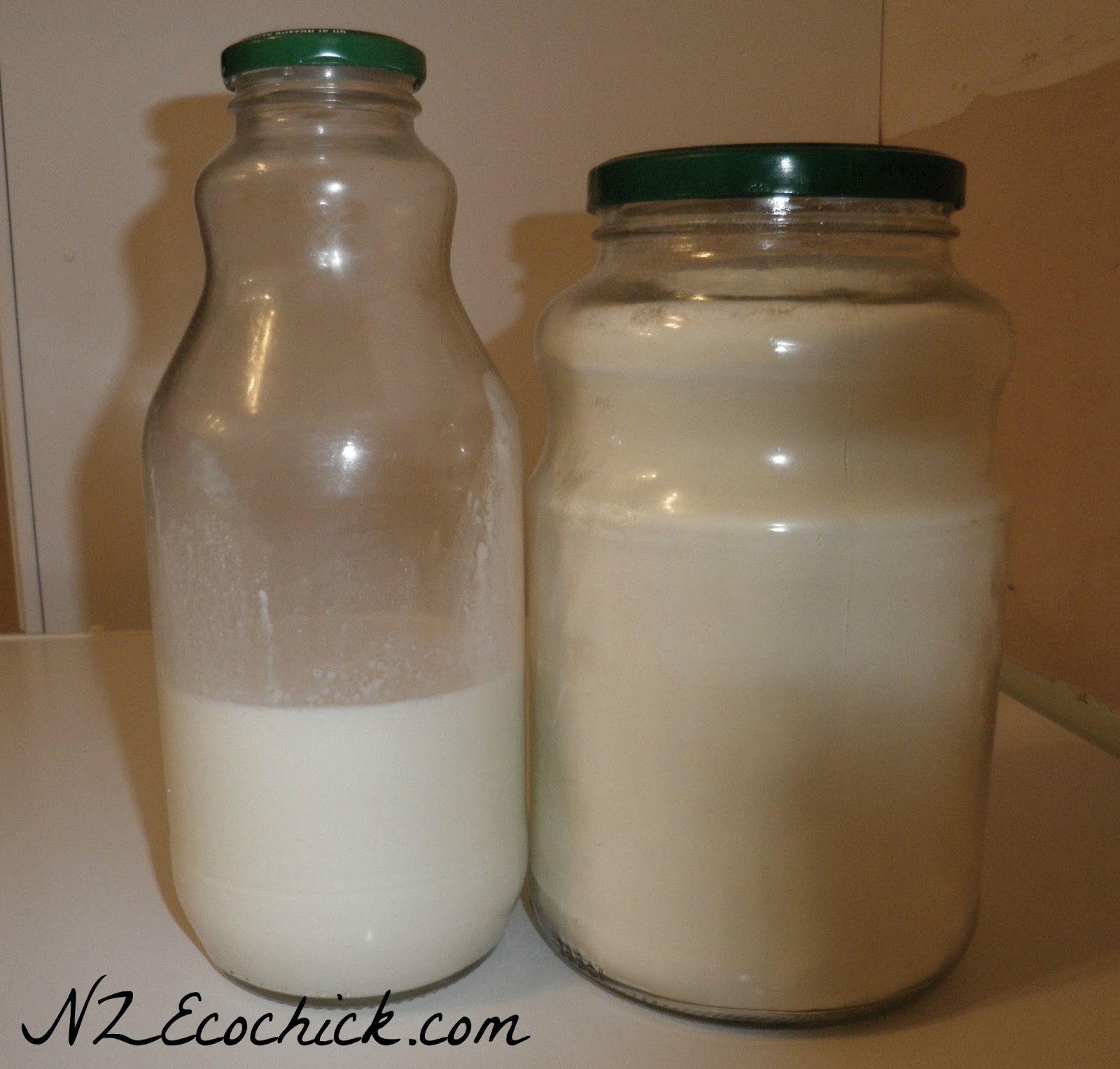Powdered milk save money and plastic NZ Ecochick