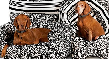 Choosing Designer Dog Beds