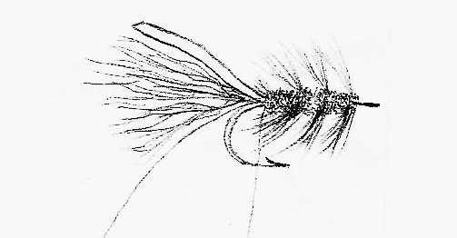 Drawing of a 3 in. strand of olive thread hanging from the hook bend with  peacock herls and hackle spiraled to hook eye. 