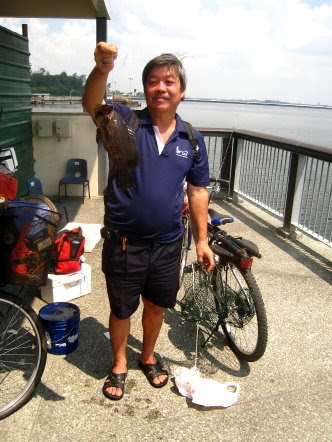 Gao Heurr 石班鱼 or Kerapu Caught at Woodland Jetty Fishing Hotspots was created to share with those who are interested in fishing on tips and type of fishes caught around Woodland Jetty Fishing Hotspots.