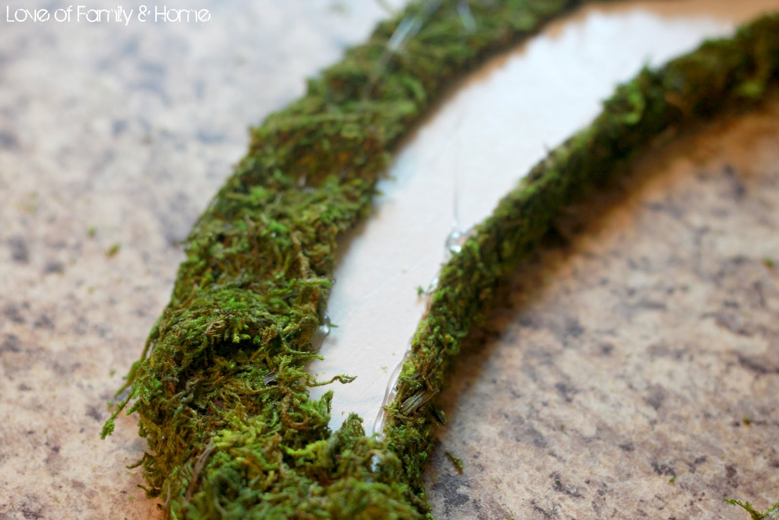 Living In Vogue Diy Moss Letters Mit Bildern Pflanzen