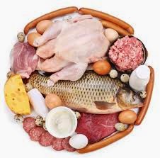 PENGERTIAN PROTEIN DAN FUNGSI PROTEIN PENGERTIAN PROTEIN DAN FUNGSI PROTEIN