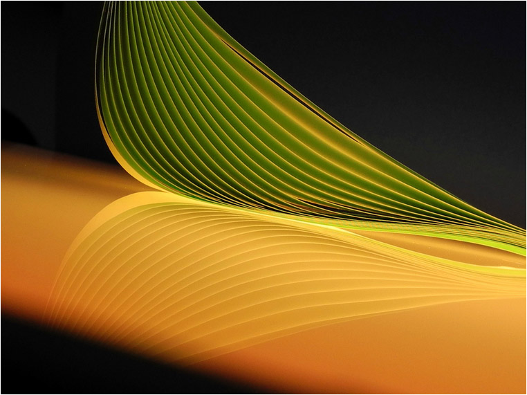 emphoka, photo of the day, Angelica Mischa, Nikon Coolpix P7000 emphoka, photo of the day, Angelica Mischa, Nikon Coolpix P7000