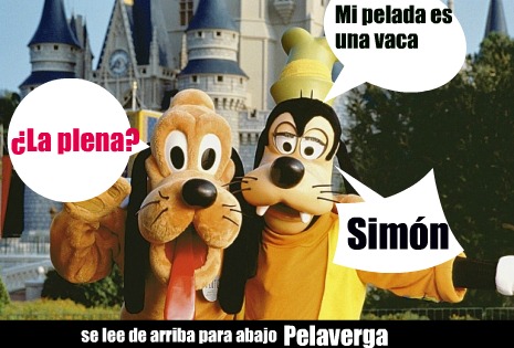 Más información sobre El Mostrador