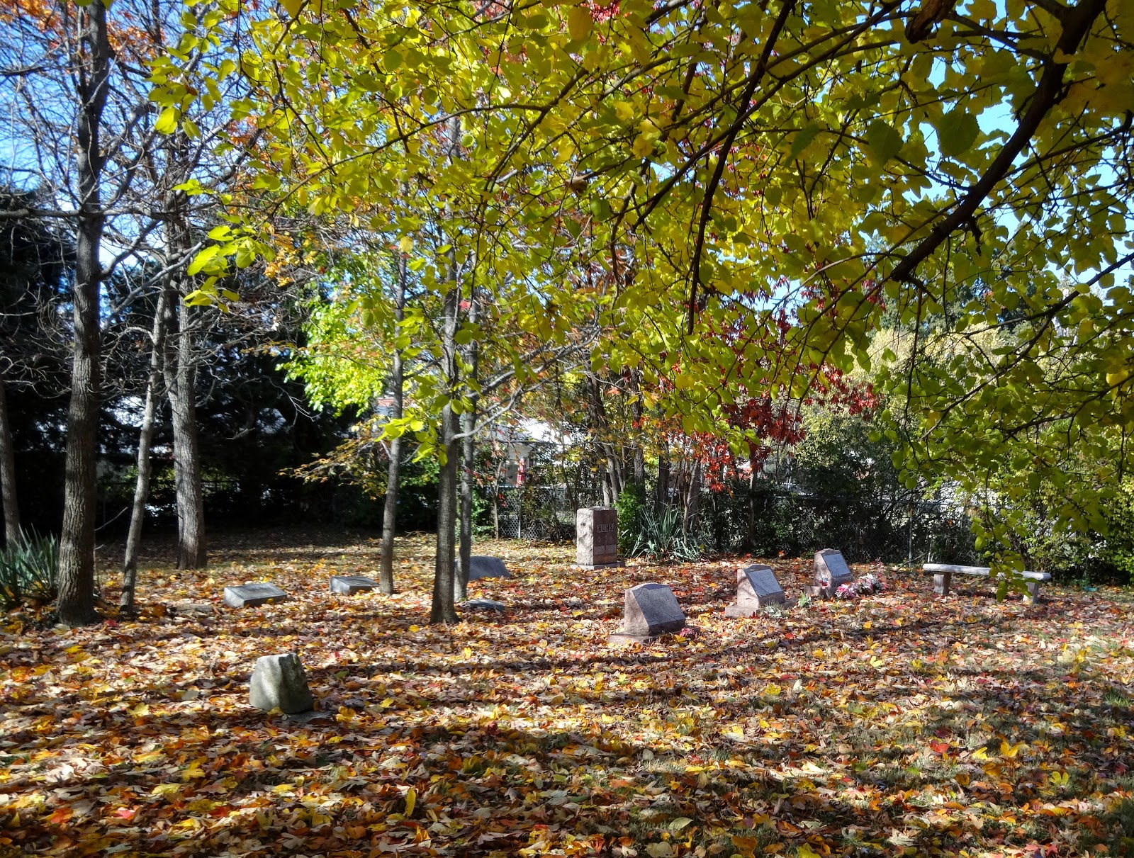 Craves, Caves, & Graves Tiny Family Graveyards Conway, Sturdy, and Eddie