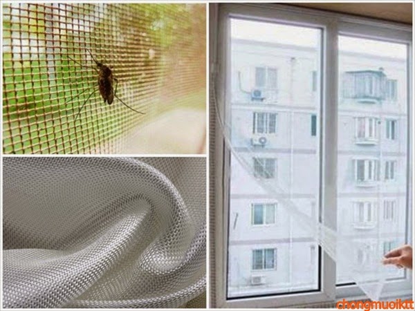 [Image: cua-luoi-chong-con-trung-giai-phap-vung-chai.jpg]