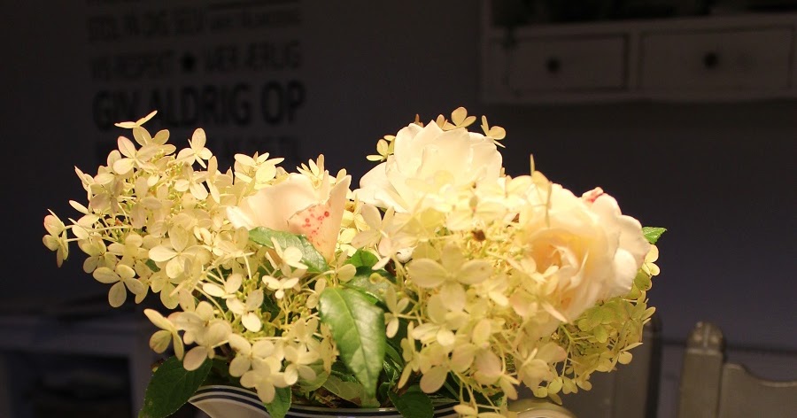 GÃ¥rdejerindens univers: havens sidste blomster