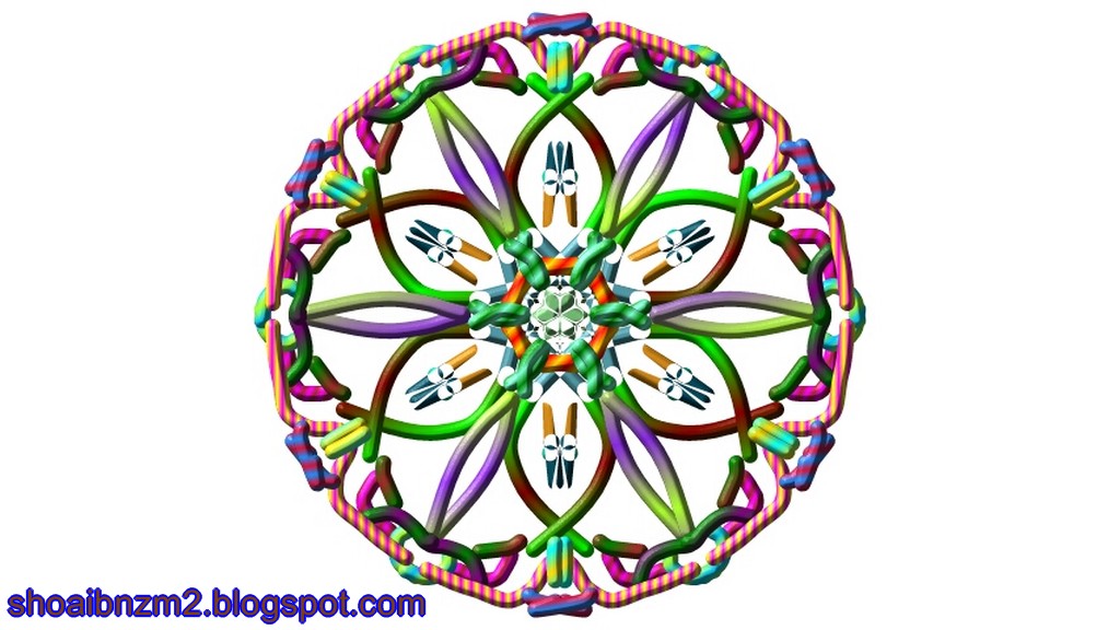 flowers for flower lovers.: April 2013