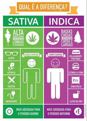 #Cannabis | Sativa √s. Indica #Cannabis | Sativa √s. Indica
